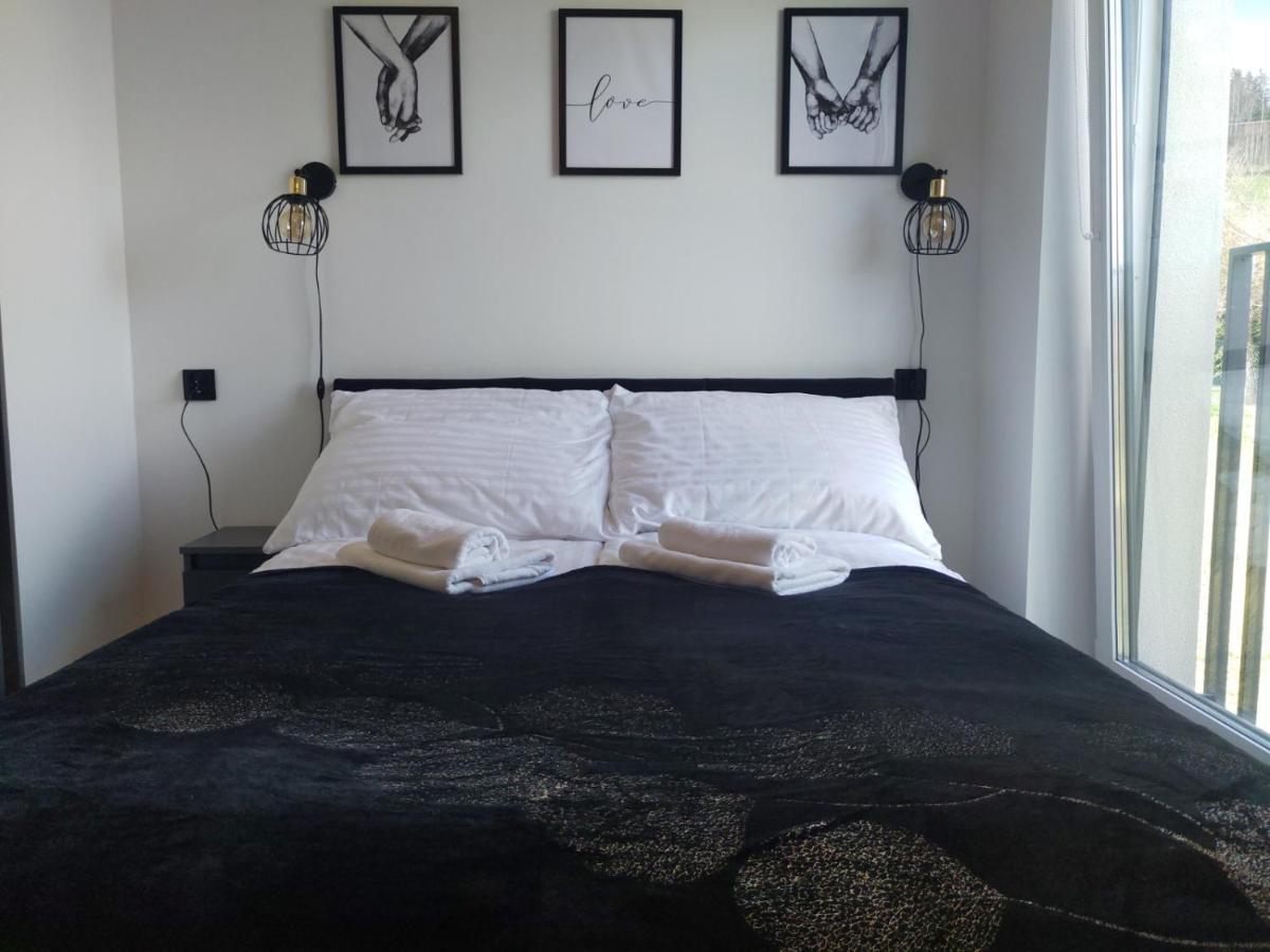 Apartament Zuza W Wisle Wisła Εξωτερικό φωτογραφία